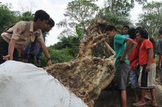 Ketua RW Jual Pohon Kamboja di Makam, Warga Mengamuk