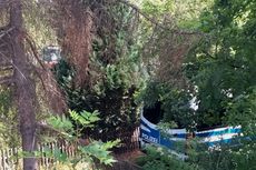 Misteri Hilangnya Madeleine McCann, Pencarian Jasad Berlanjut di Taman Hanover