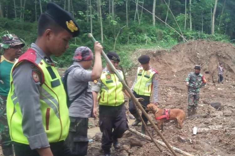 Salah satu anjing pelacak K-9 Polda Jawa Barat sedang mencari keberadaan korban tertimbun longsor di Desa Santanamekar Kecamatan Cisayong Kabupaten Tasikmalaya, Rabu (4/3/2020) pagi kemarin.