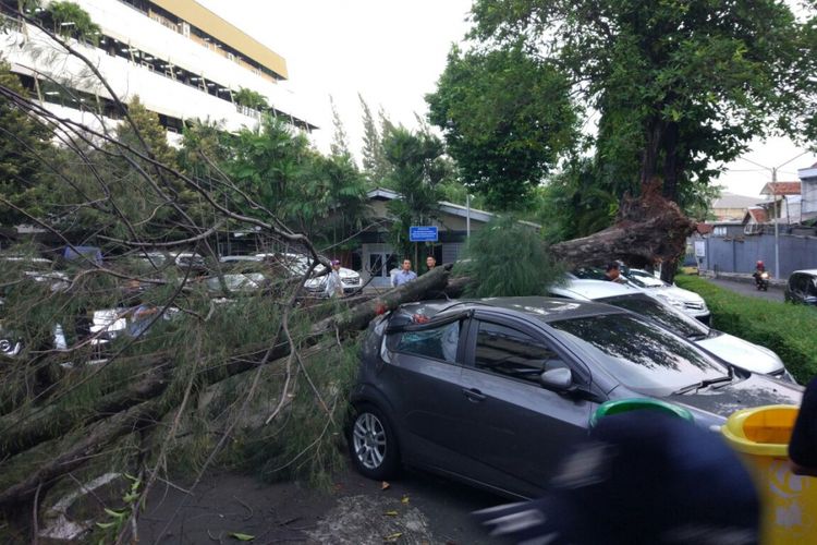 Cuaca buruk menyebabkan pohon tumbang hingga menimpa mobil. 