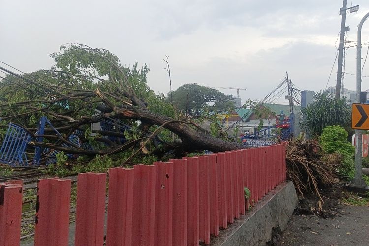 BMKG Juanda Prediksi Cuaca Ekstrem di Jatim Hingga Sepekan ke Depan 