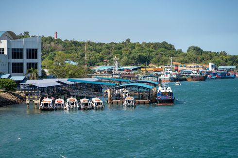 Profil Badan Pengusahaan Kawasan Perdagangan Bebas dan Pelabuhan Bebas Batam