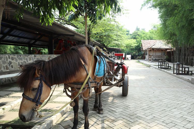 Suasana di D'Kandang, salah satu tempat wisata anak di Depok.
