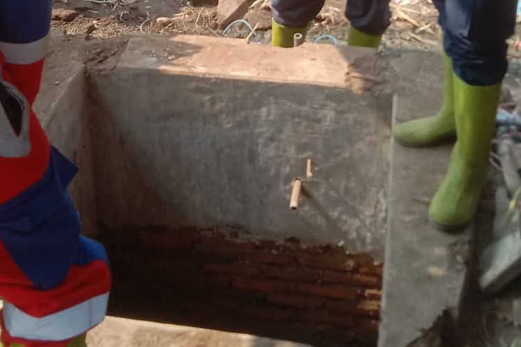 Sapi Limusin Terperosok ke Sumur Sedalam 20 Meter di Situbondo, Evakuasi Terkendala