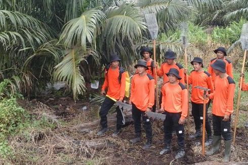 DPRD Riau Minta Pemerintah Kaji Ulang Moratorium Kebun Sawit