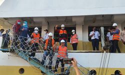 Penuhi Kebutuhan Hewan Kurban Jabodetabek dan Bandung Raya, Pemerintah Datangkan 450 Sapi BULS Sidrap 