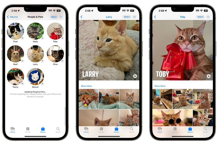 Tampilan fitur baru di Photos berbasis iOS 17. Fitur tersebut memungkinkan sistem mendeteksi wajah hewan peliharaan dengan akurat walau beberapa hewan di gambar punya ciri fisik yang mirip