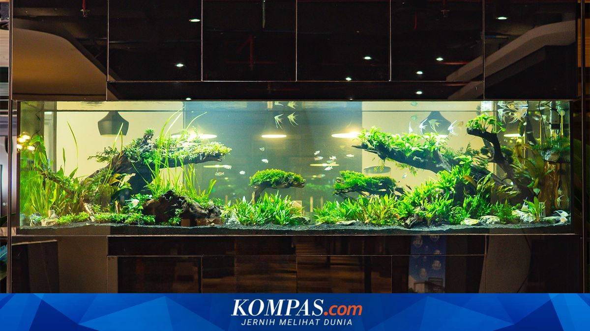 Tren Sewa Akuarium di Perkantoran Jakarta Meningkat, Dongkrak Suasana dan Produktivitas