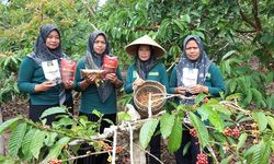 Jalan Bagi Kesejahteraan Petani Kopi