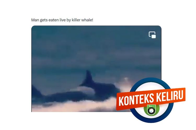 Hoaks, video pria dimakan hidup-hidup oleh paus pembunuh