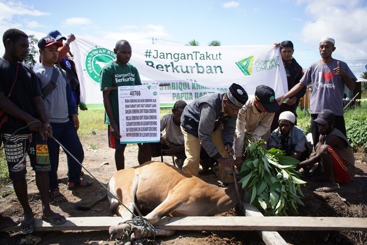 Di tengah pandemi Covid-19,  Dompet Dhuafa bersama mitra jaringan peternak di seluruh Indonesia, terus berupaya menggulirkan hewan kurban melalui program Tebar Hewan Kurban (THK).