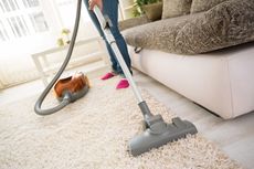 Seberapa Sering Harus Membersihkan Vacuum Cleaner?