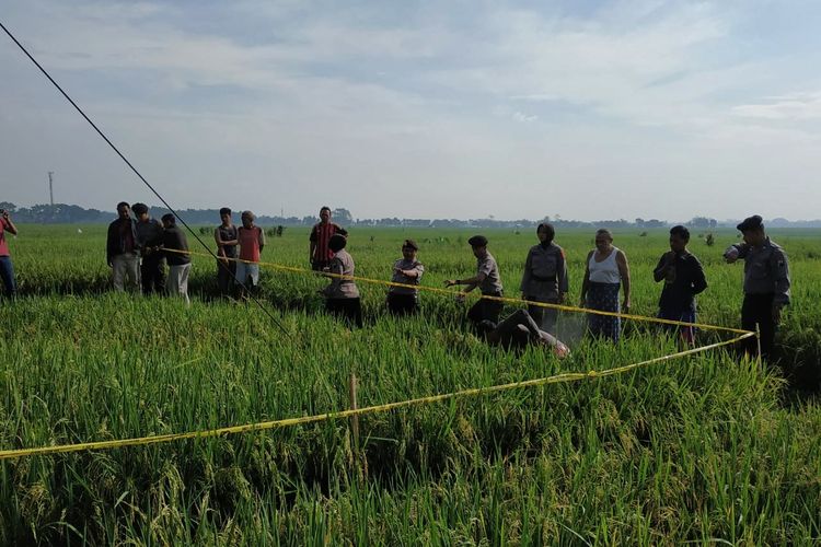 Petugas memasang garis polisi di sekitar lokasi kemunculan fenomena sawah mendidih di Desa Kalimanah Kulon, Kecamatan Kalimanah, Purbalingga, Jawa Tengah, Rabu (13/3/2019).