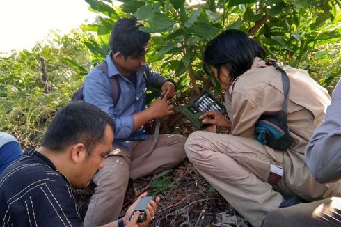 BBKSDA Riau Pasang Kamera Trap di Lokasi Temuan Jejak Harimau Sumatera
