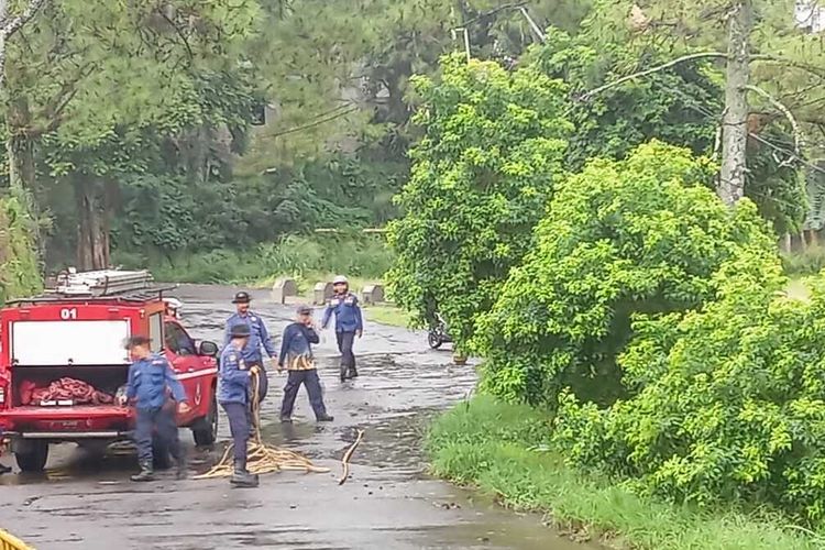 Petugas Damkar memusnahkan sarang tawon yang memakan korban di Puncak Bogor, Jawa Barat, Kamis (18/1/2024).