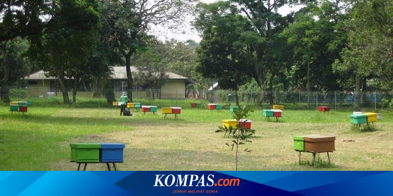 Komersialisasi Buperta Cibubur Berpotensi Rugikan Negara