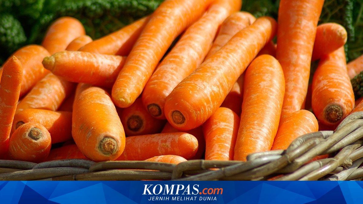 6 Tanaman Sayur yang Hasil Panennya Melimpah