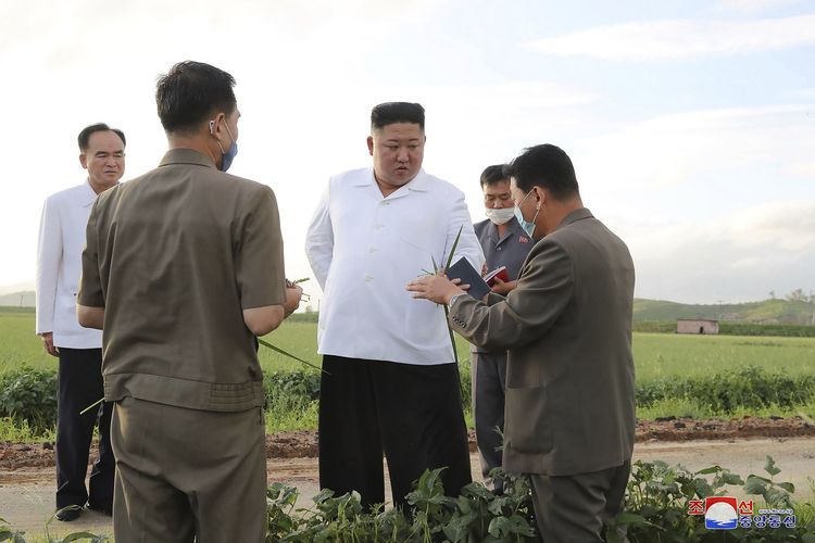 Dalam foto tak bertanggal yang disediakan pada 28 Agustus 2020, nampak Pemimpin Korea Utara Kim Jong Un mengunjungi area di Provinsi Hwanghae, sehari setelah Topan Bavi mendarat pada 27 Agustus 2020.