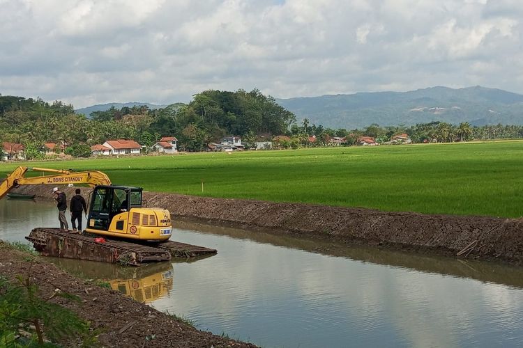 Normalisasi Sungai Ciseel di Pangandaran Kurangi Risiko Banjir, Sawah Tetap Hijau meski Musim Kemarau