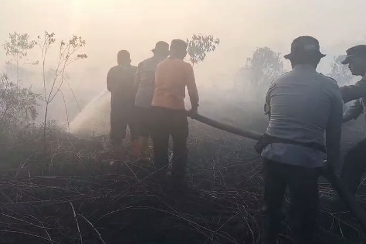 Petugas gabungan berjibaku memadamkan api karhutla, di Desa Gambut Mutiara, Kecamatan Teluk Meranti, Kabupaten Pelalawan, Riau, Rabu (20/3/2024).