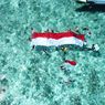Upacara Bendera di Bawah Laut Teluk Maumere, Penyelam Dikelilingi Hiu Putih