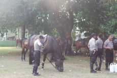 Jaga-jaga Aksi Massa di DPR, Polisi Tak Gunakan Senjata, tetapi Andalkan Kuda