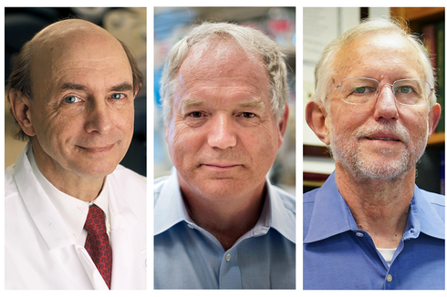 Temukan Hepatitis C, 3 Ilmuwan Raih Penghargaan Nobel Kedokteran 2020