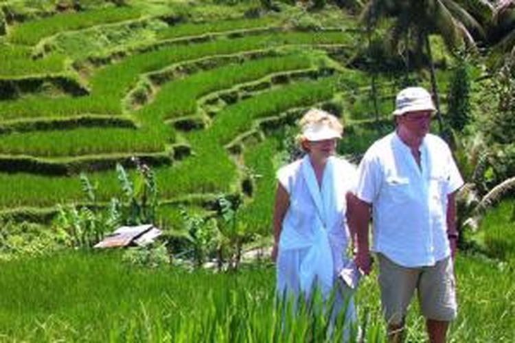 Turis mancanegara di kawasan persawahan Desa Kedisan, Kecamatan Tegalalang, Kabupaten Gianyar, Bali, Minggu (22/11/2015). 