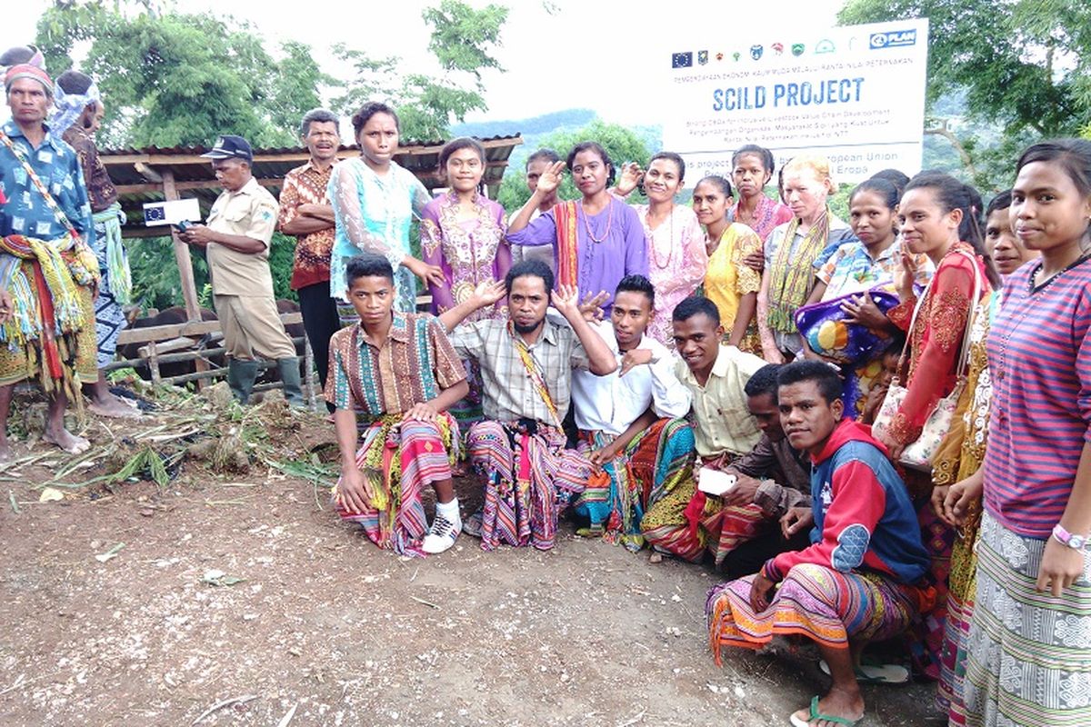 Sejumlah perempuan dan lelaki muda asal Desa Tesiayofanu, Kecamatan Kie, Kabupaten Timor Tengah Selatan (TTS), Nusa Tenggara Timur memilih untuk menjadi peternak sapi di desa mereka