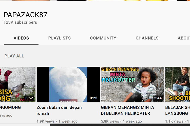 Channel YouTube PAPAZACK87 (Sidimpuan Dubbing).