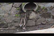 Pemerintah Siapkan Perpres Ojol 2025: Atur Perlindungan dan Kesejahteraan Pengemudi