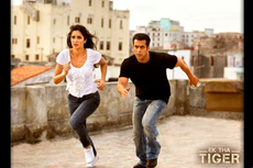 Sinopsis Ek Tha Tiger, Salman Khan Jatuh Hati pada Katrina Kaif