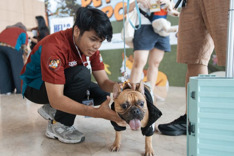 IIPE 2026, Surga bagi Pawrents dan Anabul Kembali Digelar di ICE BSD