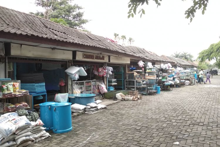 Sentra ikan hias di Raden Inten, Jakarta Timur, Senin (19/3/2018)