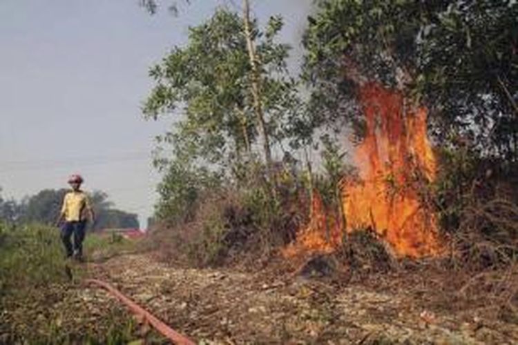 Petugas pemadam kebakaran di area hutan gambut yang terbakar di Rumbai Pesisir, Provinsi Riau, 20 Juni 2013. Presiden Susilo Bambang Yudhoyono, atas nama Pemerintah Indonesia, meminta maaf kepada negara-negara yang terkena imbas atas asap Riau.