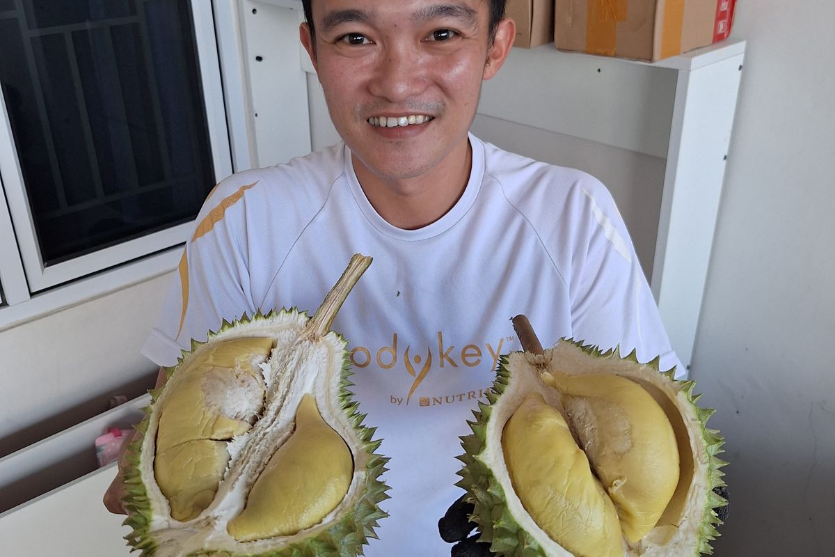 Kisah Durian Cumasi Khas Bangka, Daging Tebal dengan Aroma Menyengat...