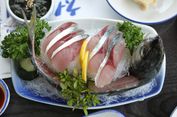 15 Ikan Paling Enak dan Populer di Asia, Apakah Ada dari Indonesia? 