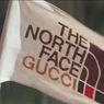 Gucci Akan Berkolaborasi dengan The North Face, Rilis Koleksi Apa?