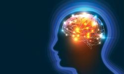 Molekul Ajaib GAI-17: Harapan Baru Pengobatan Stroke dan Alzheimer