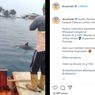 Video Viral Lumba-lumba di Perairan Pulau Pramuka, Ini Kata Dinas LH
