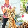 Diduga Jual Kulit Harimau, Mantan Bupati Bener Meriah Ditangkap