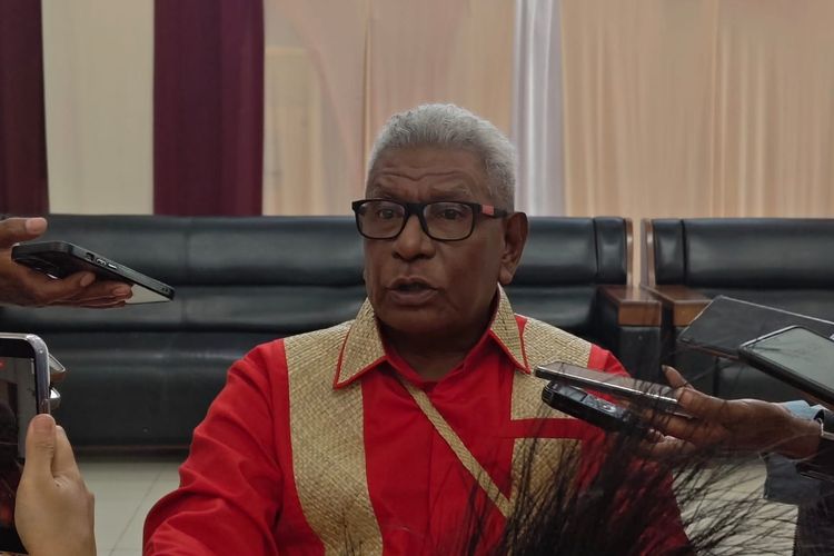 Terdampak Kabut Asap, Pemkab Mimika Minta BNPB Atasi Karhutla di Papua Selatan