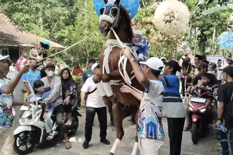 Syawalan di Purworejo Meriah, 25 Santri Khatam Al Quran Diarak Tunggangi Kuda Jingkrak