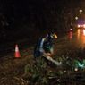 Pohon Tumbang di Jalan Lingkar Salatiga, Pengendara Motor Tergelincir dan Terluka