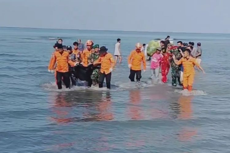 Jenazah penumpang KM Brigeton GT-6 yang tenggelam di perairan saat dievakuasi tim gabungan Basarnas, Polri,dan TNI di Pantai Sumare Mamuju, Sulawesi Barat, Kamis (21/112/2023).
