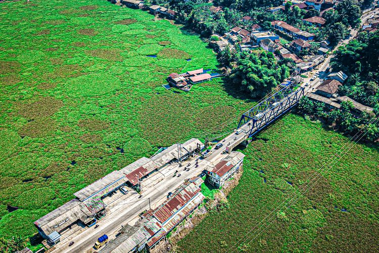 Tak Dibuang ke TPA Sarimukti, Eceng Gondok Waduk Saguling Akan 
