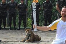 Tentara Brasil Tembak Seekor Jaguar yang Terlibat dalam Olimpiade Rio