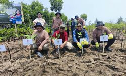 PGN Tanam 269.000 Mangrove di Pantura, Antisipasi Abrasi dan Perubahan Iklim