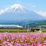 Harga Japan Rail Pass Naik, Liburan ke Jepang Makin Mahal