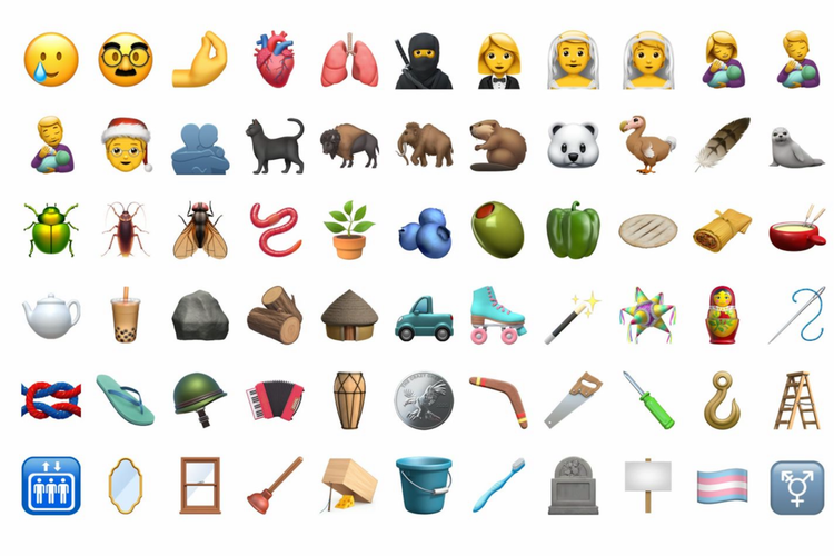 Deretan emoji yang hadir pad iOS 14.2